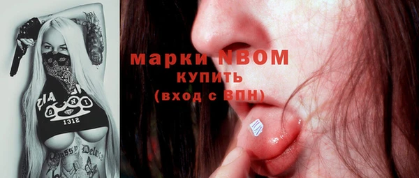 индика Алзамай
