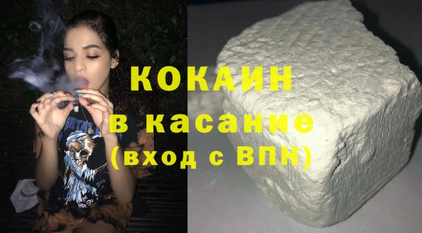 индика Алзамай