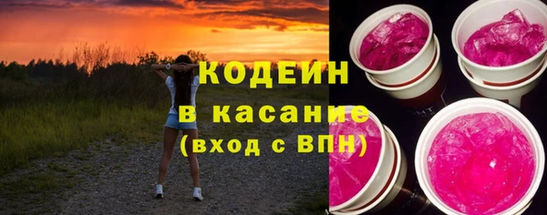 индика Алзамай