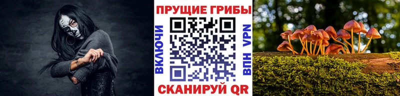 купить наркоту  Кемерово  Псилоцибиновые грибы Magic Shrooms 