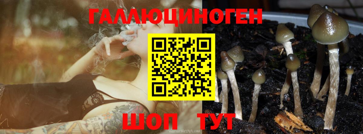 Псилоцибиновые грибы ЛСД Кемерово