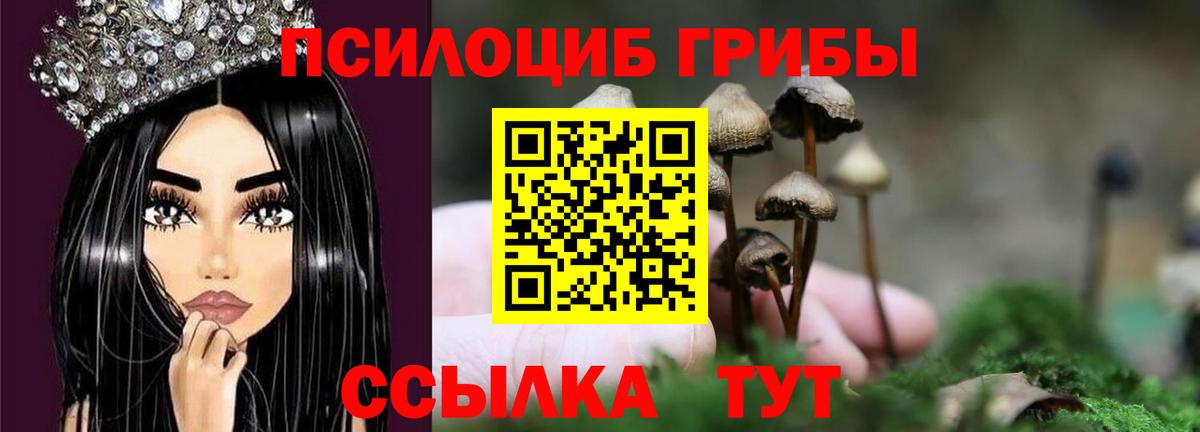 Галлюциногенные грибы мицелий  Вход с VPN  закладки  Кемерово 